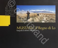 1192026mustangregno