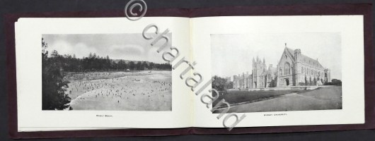 1572019P1830489