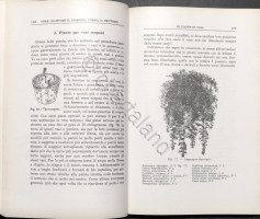 21112025p2620661