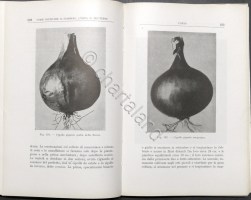 21112025p2620662