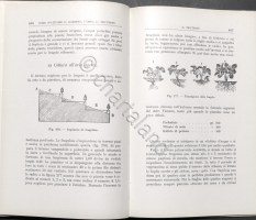 21112025p2620663