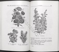 2182023P2340849