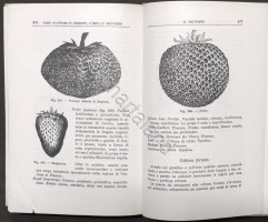 2182023P2340850
