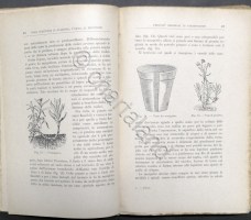 2952025p2570169