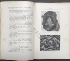 2952025p2570170