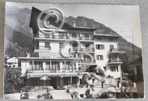 img_15279009072497
