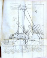 img_15281189084499