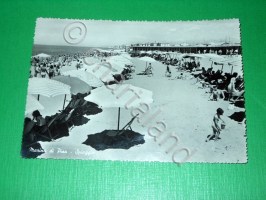 img_154810139425a