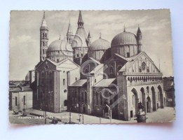 img_155260436474a