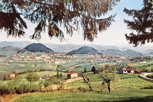 img_403419765145a