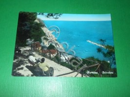 img_403663389516a